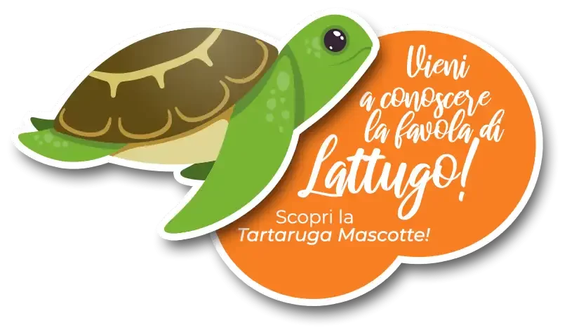 Illustrazione di una tartaruga verde con un fumetto arancione che invita a conoscere la favola di Lattugo, la tartaruga mascotte.