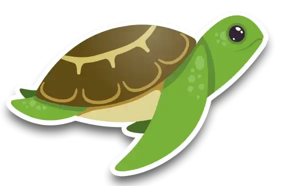 Illustrazione di una simpatica tartaruga verde con guscio marrone.